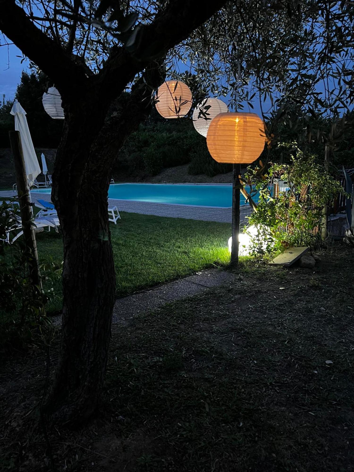 Agriturismo La Cerbana 팔라야 외부 사진